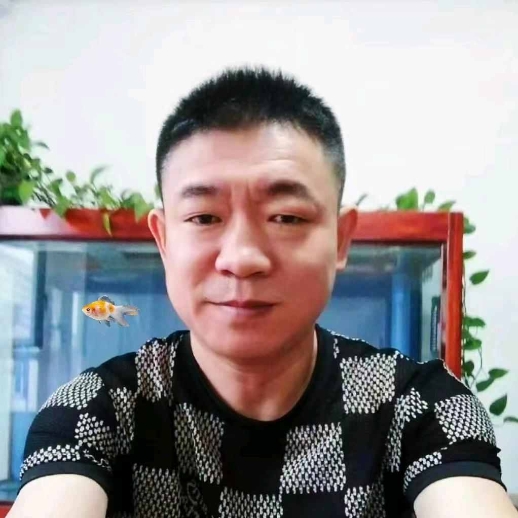碧血黄沙