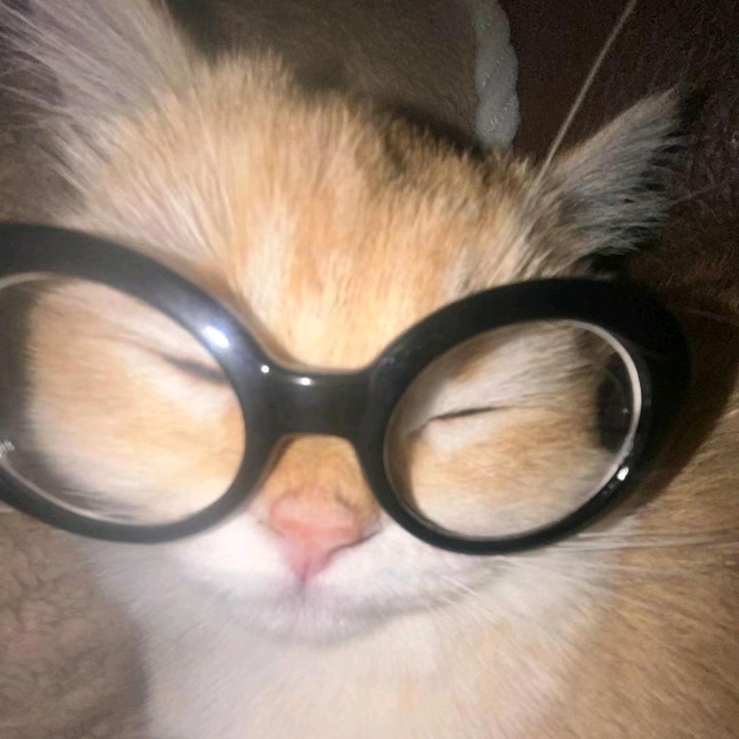 我擦地板靓仔吗