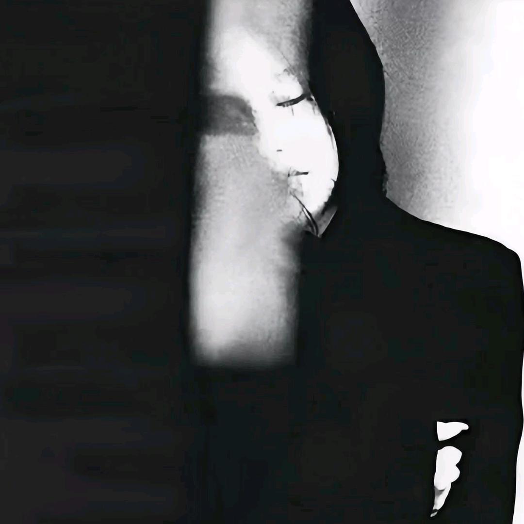 白晶晶