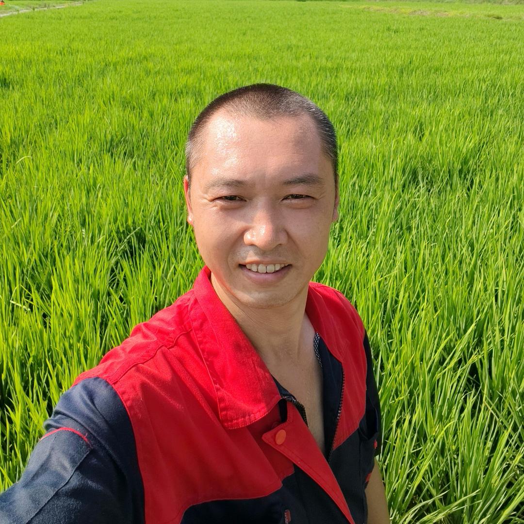 种粮大户彭洪新