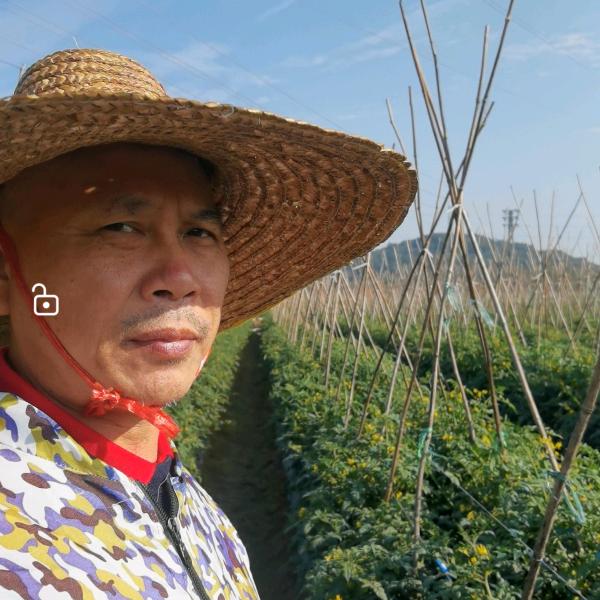 奇育生物-光头海