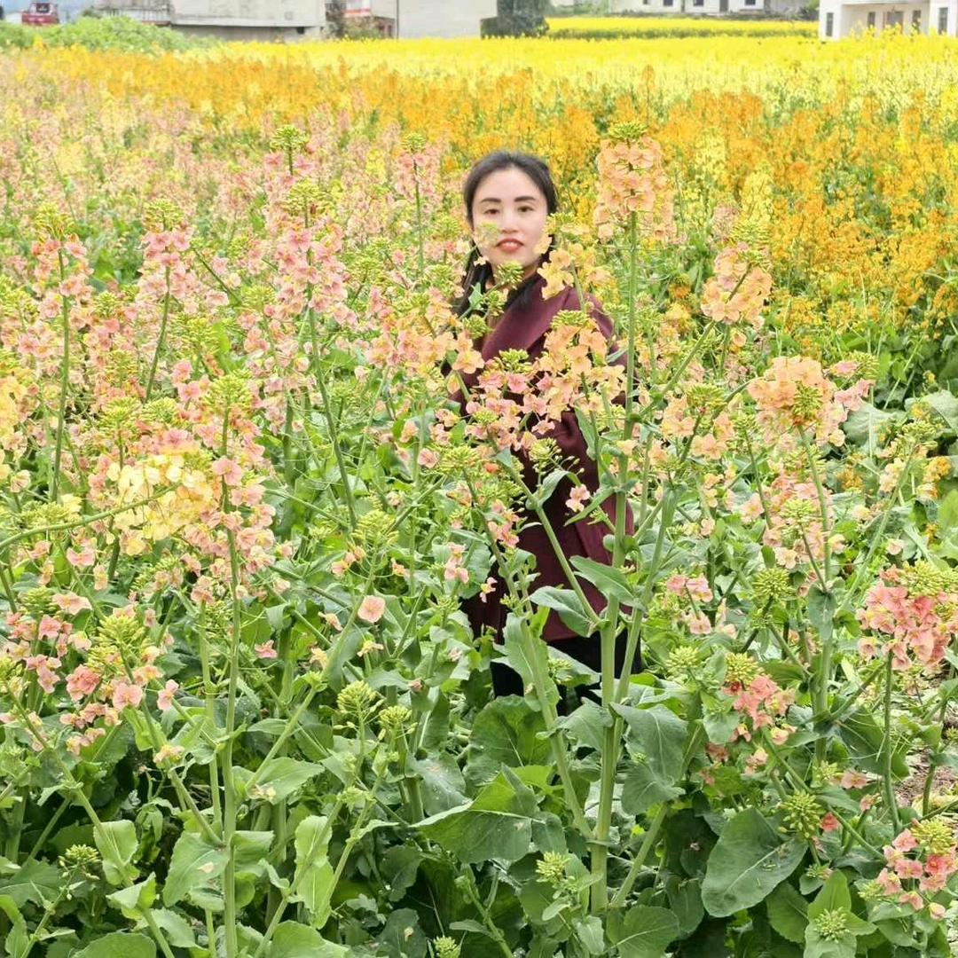 雪花