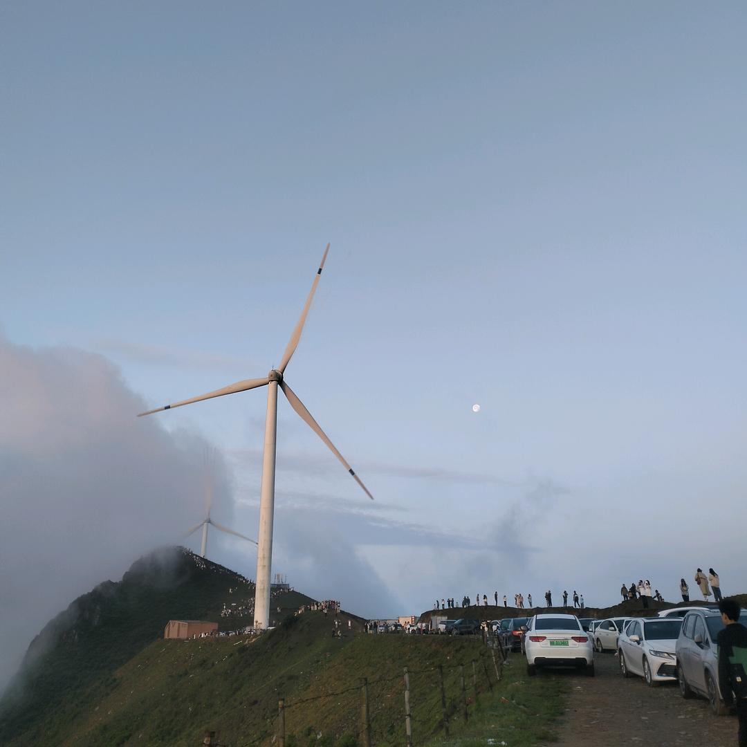 蝼蛄　　　　　　　🪳