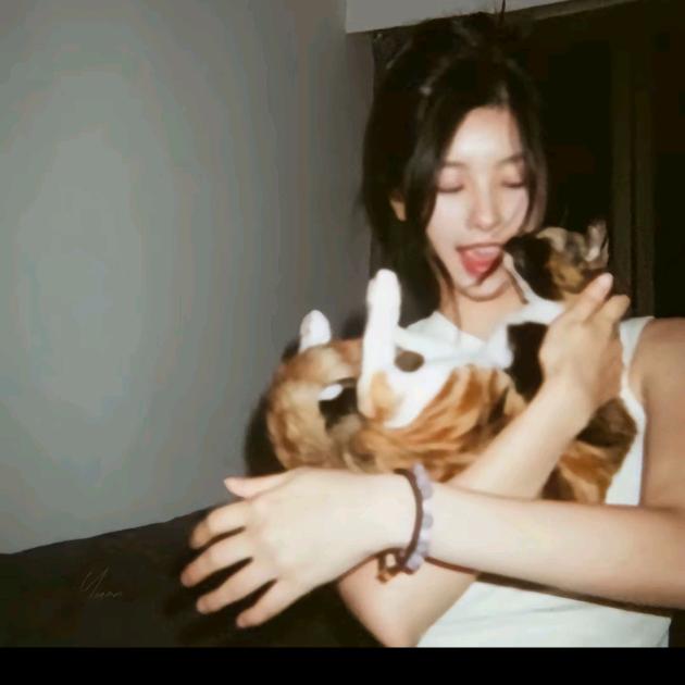 q晴