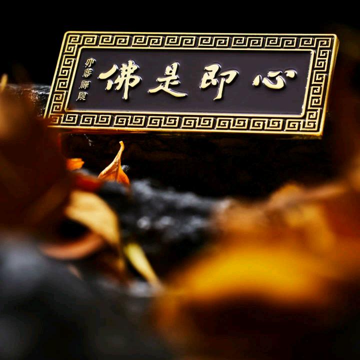 静心