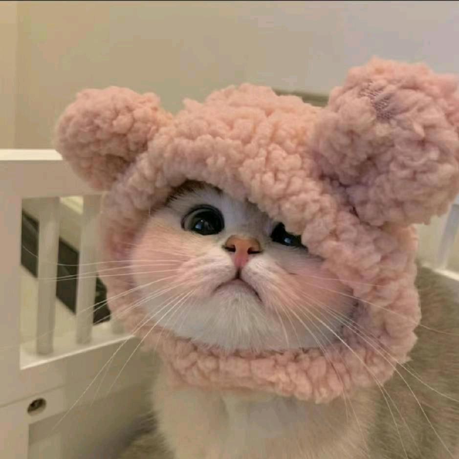 小杰爱喝乌龙茶