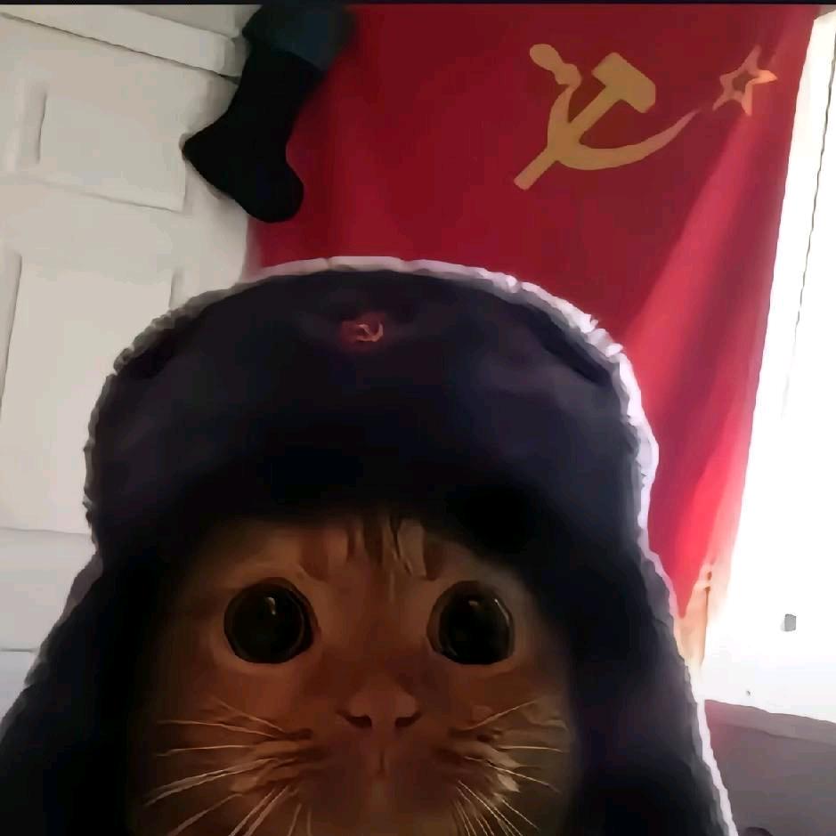 圣火喵喵🐈🐈🐈🐈