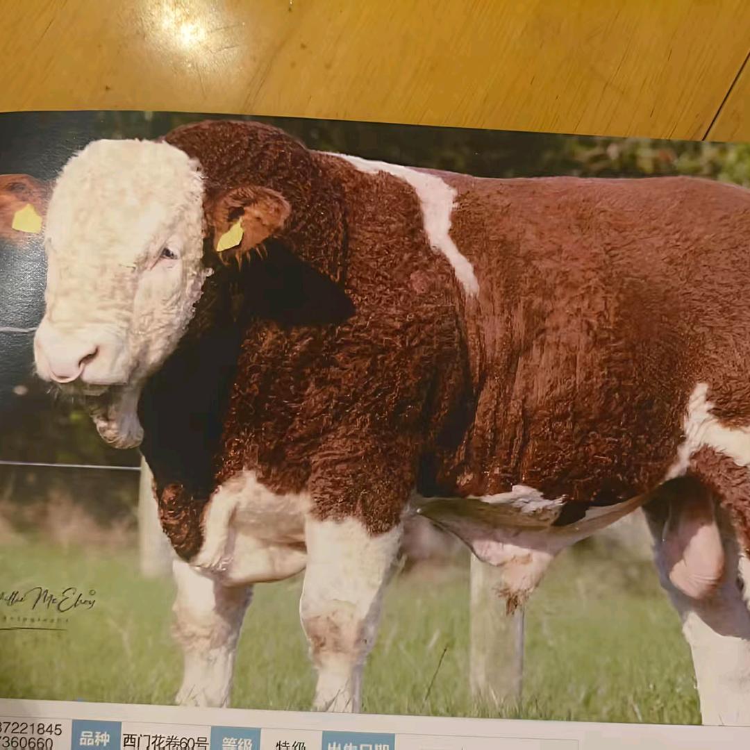 盘州市沈兽医 （保田）。