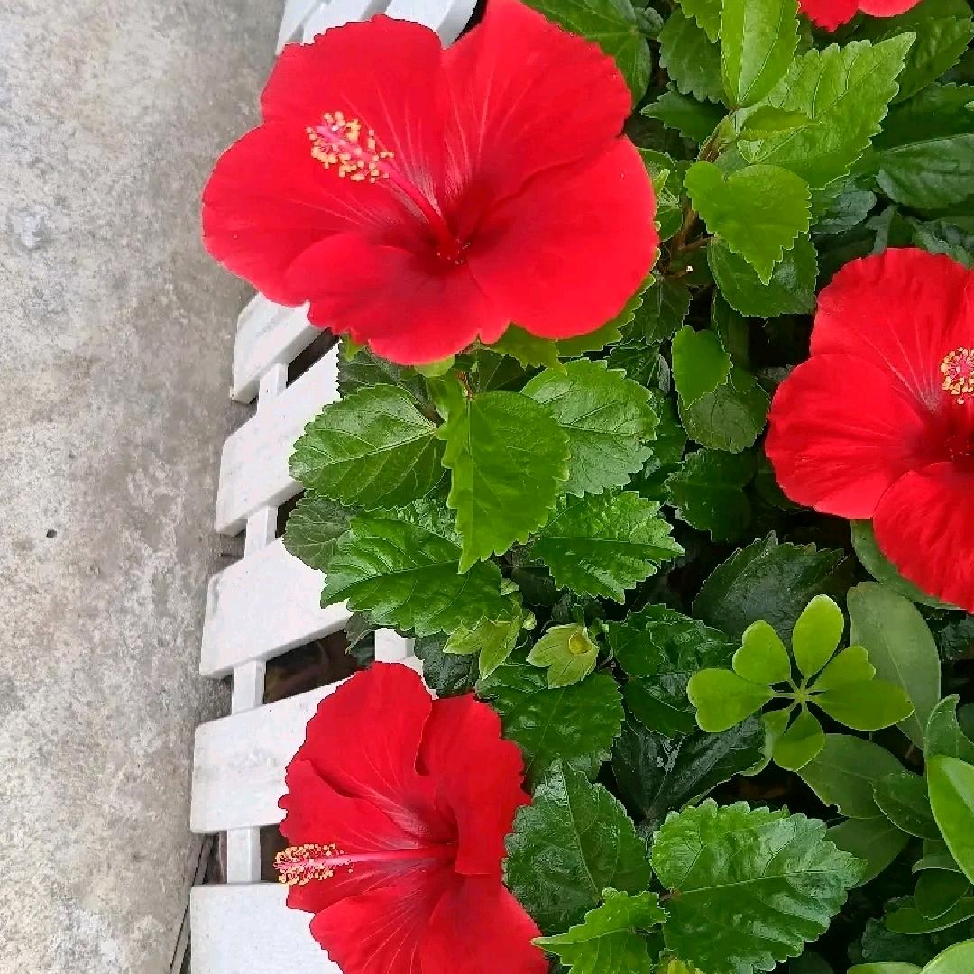 天天开心点