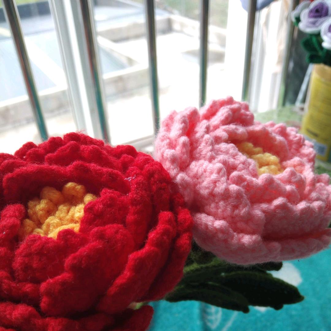 农村三娃宝妈小琴