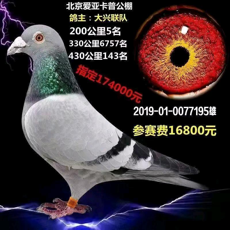 天落优选