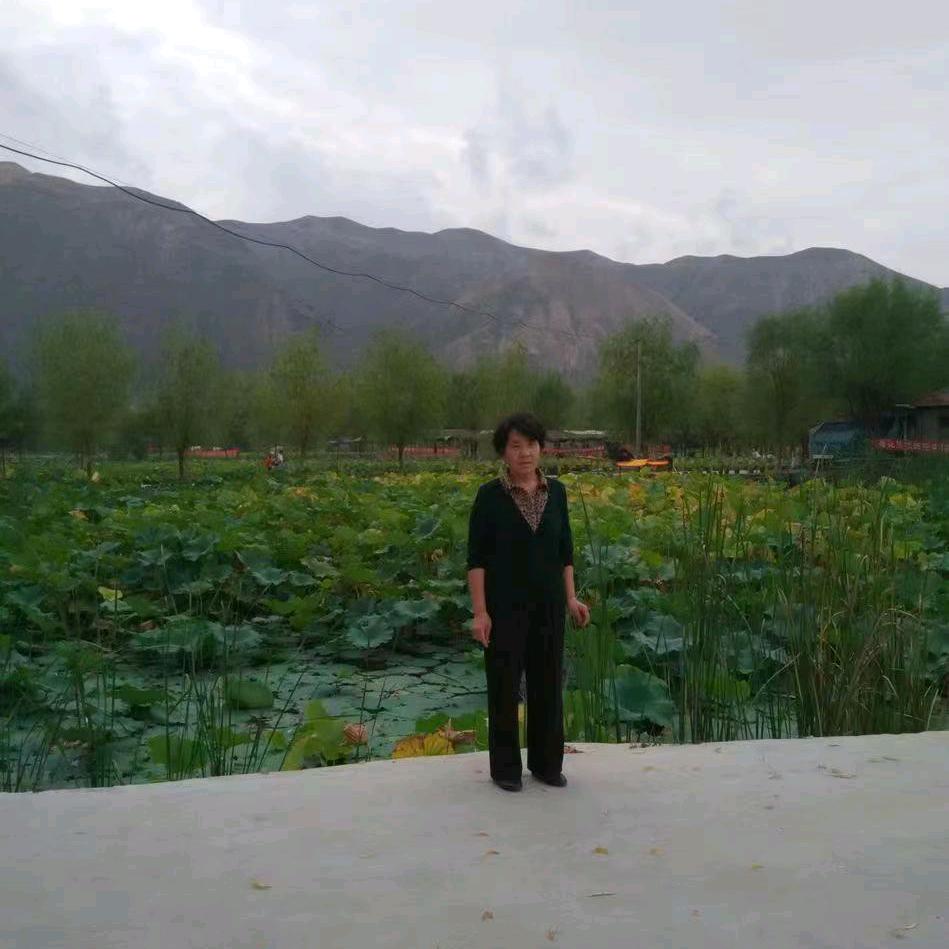 金银花
