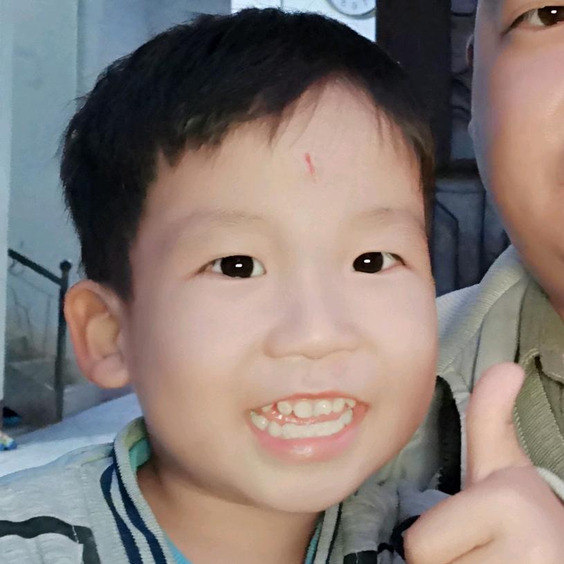 如风自在