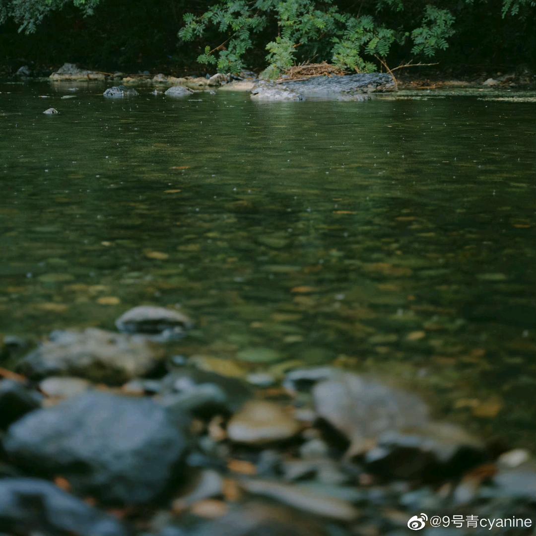 陈陈陈陈涛
