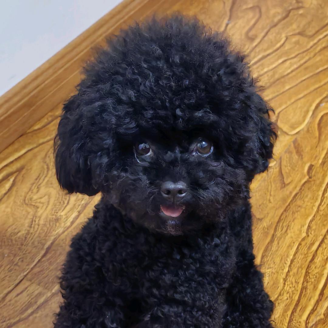俺叫西西娃儿💓