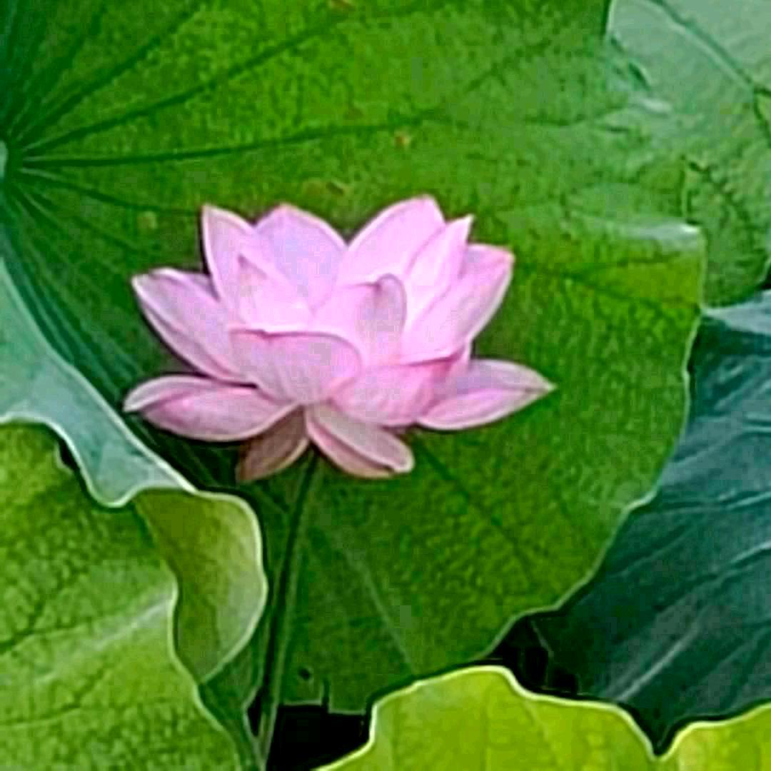 **人生