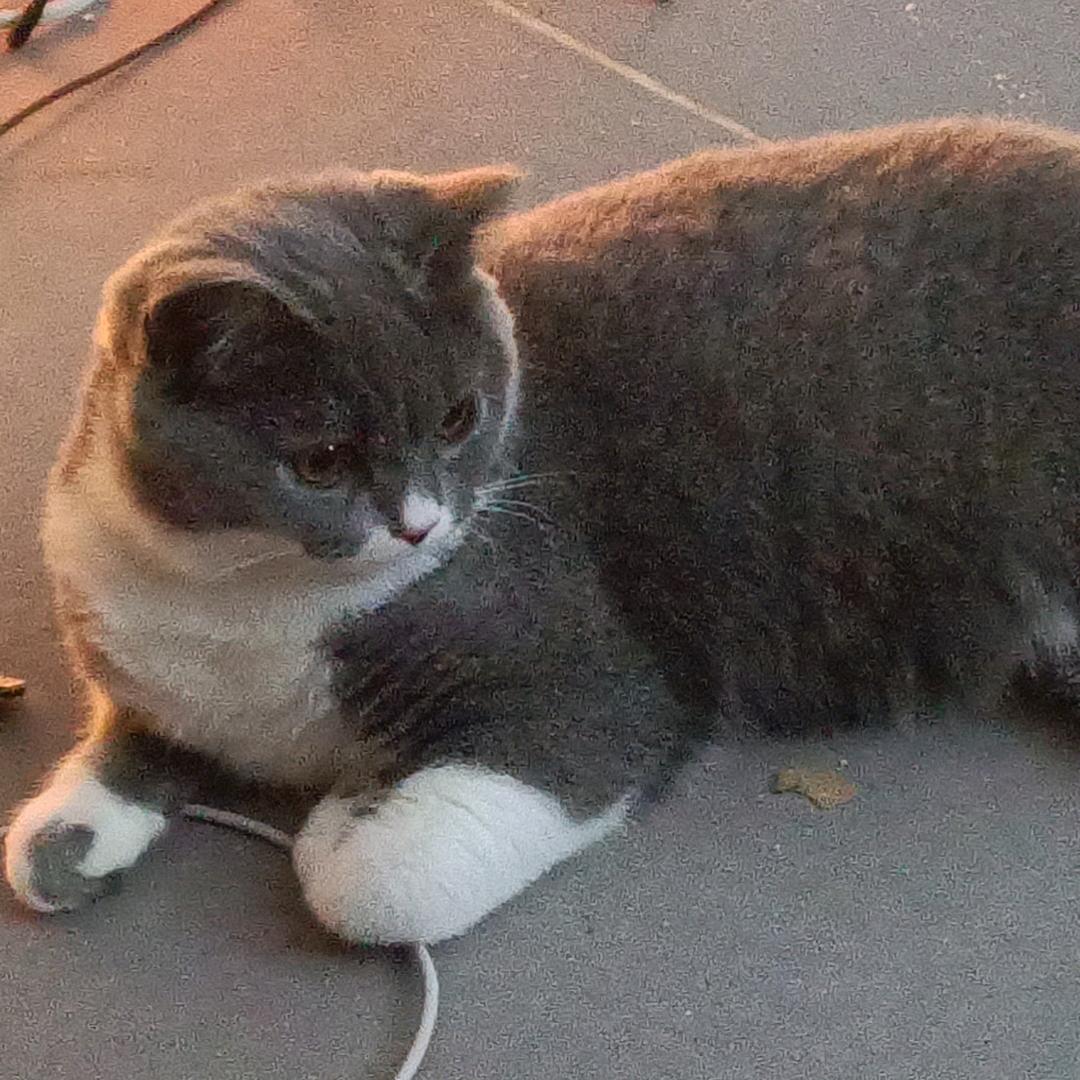 生活的苦