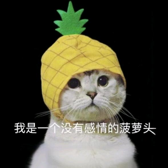 🍍