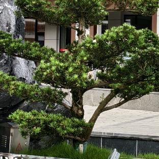 新的开始
