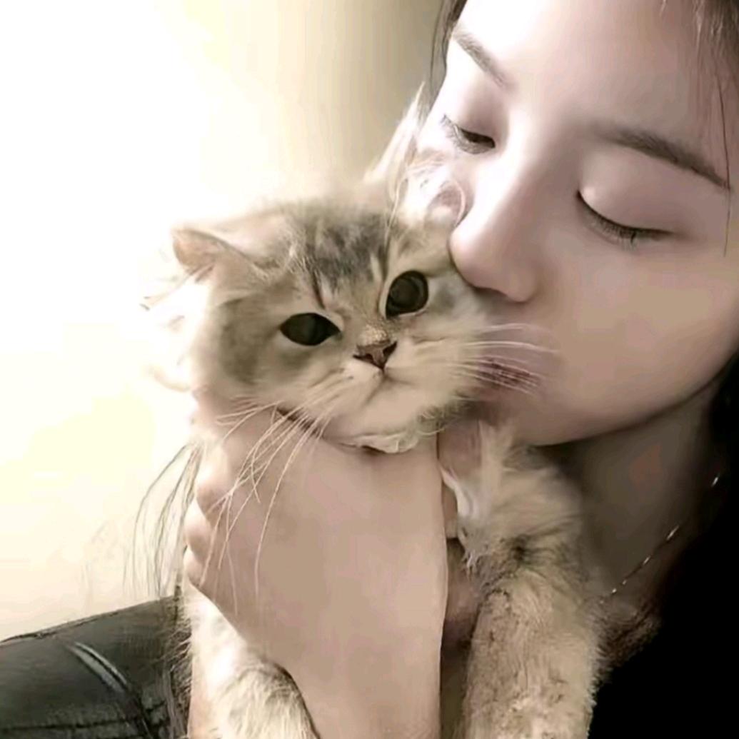 莓泥不行ʸᵃ