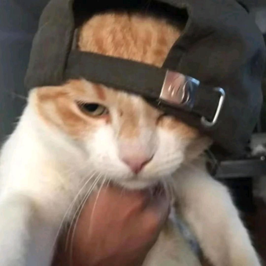 🍟z