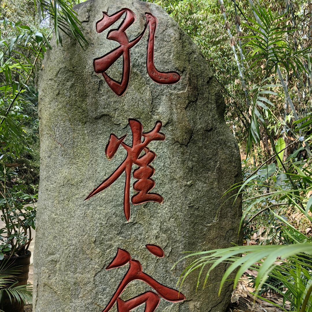云南芒市孔雀谷森林公园