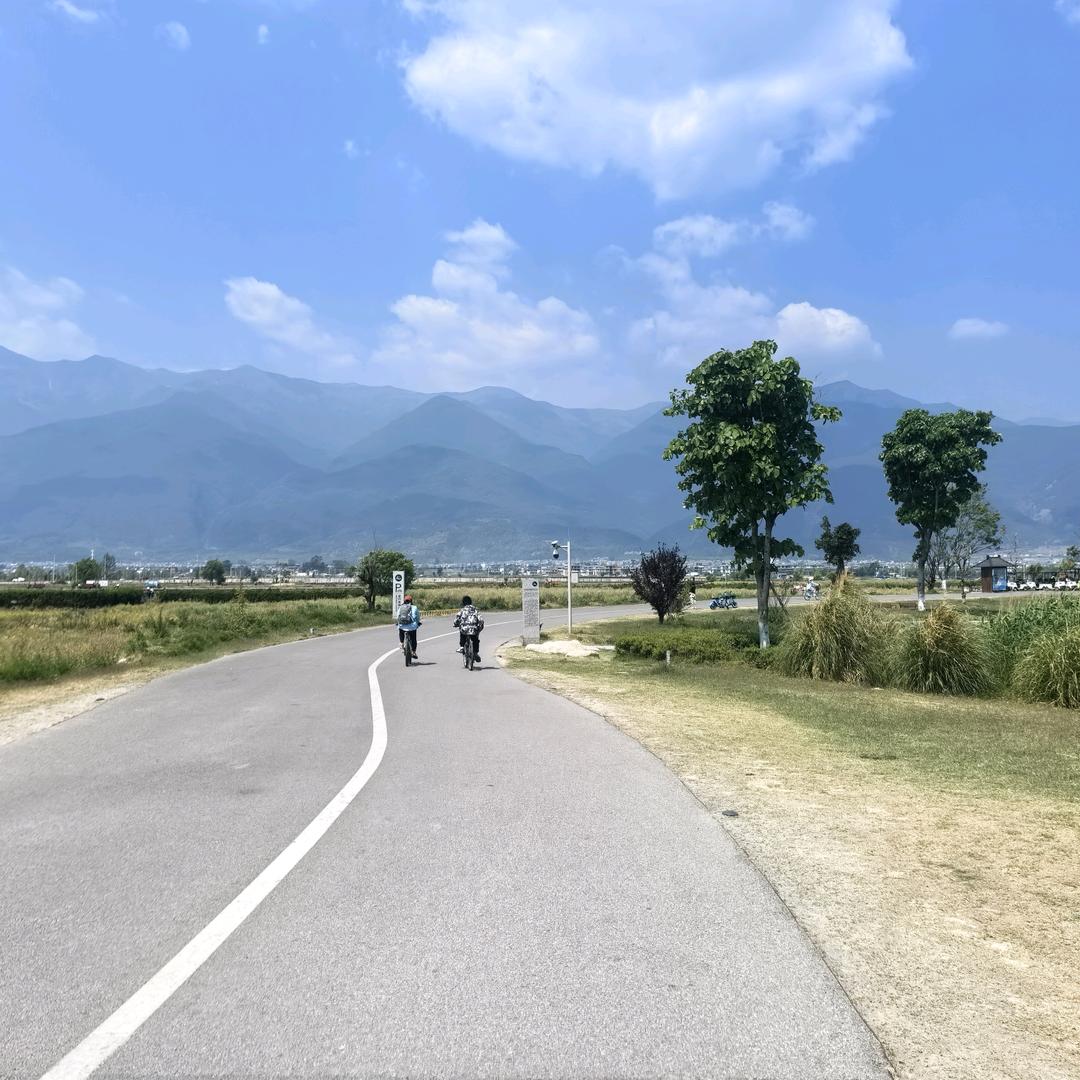 子君子君