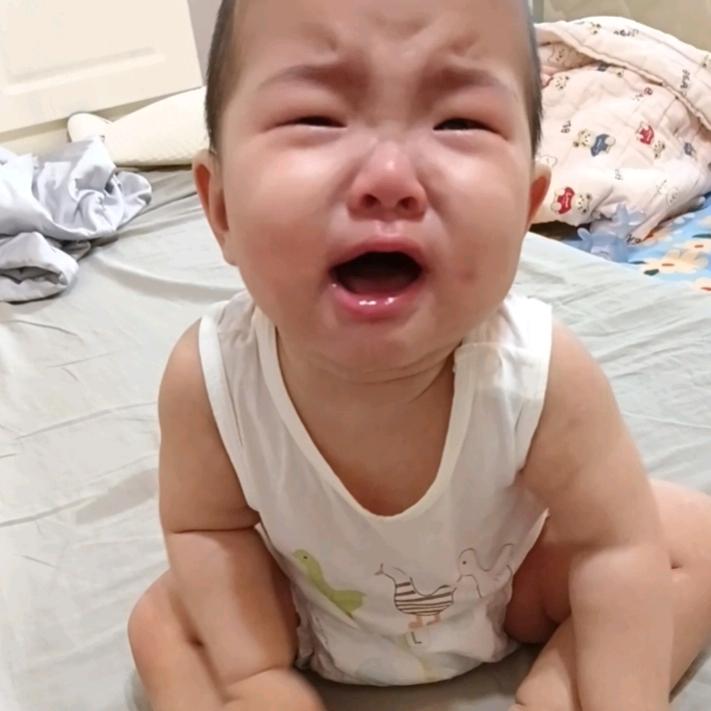 张飞飞（是妹妹哦）