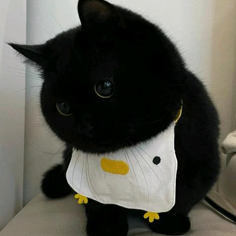 我是打酱油的！