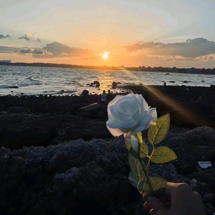 陪海听风