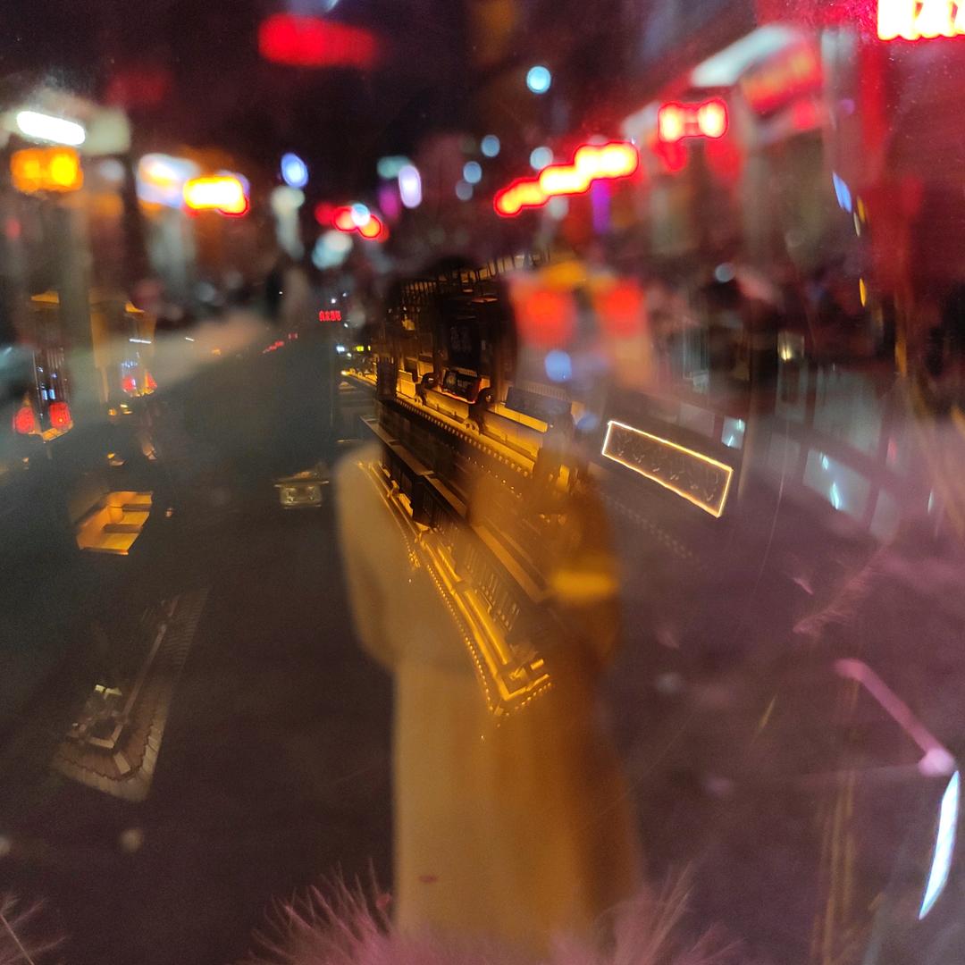 在旧金山跳伞的北极狐