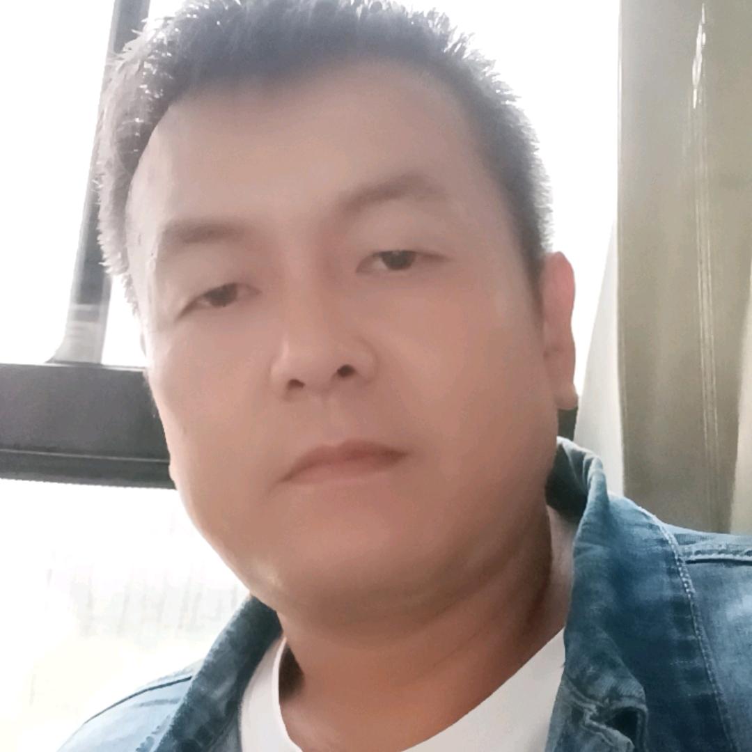 随风去流浪