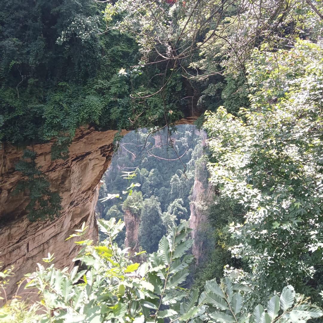 零距离