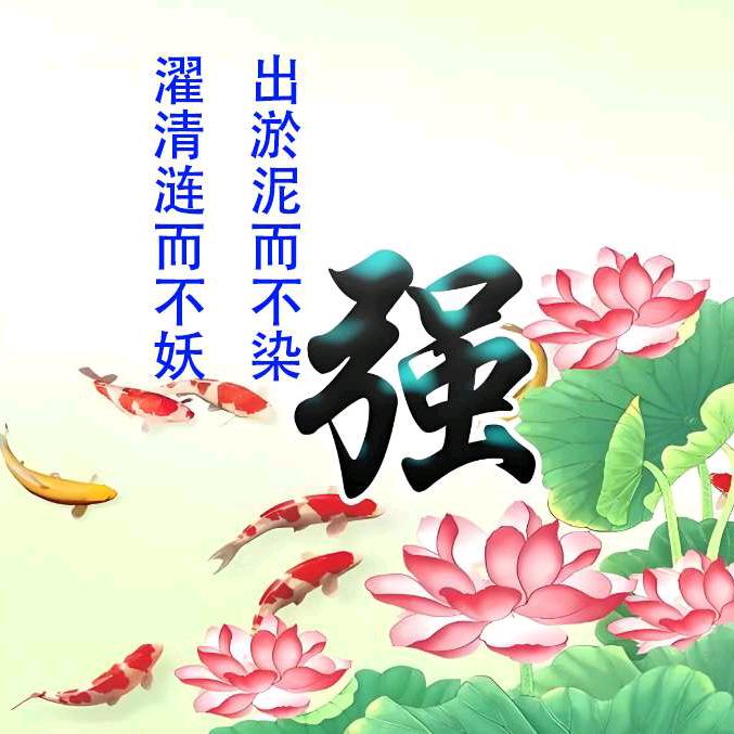 周口房产王军