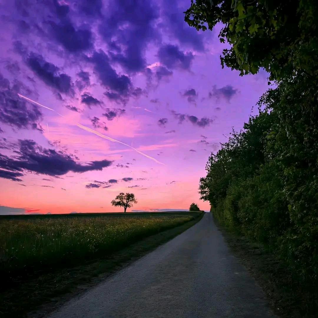 好运🌹🌹🌹｡◕‿◕｡