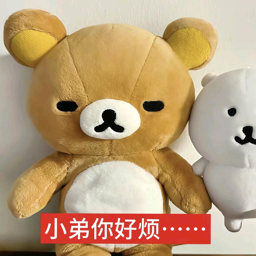 小猫大王