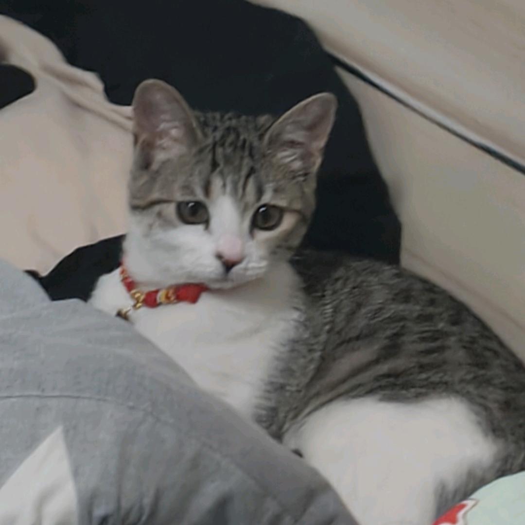 过