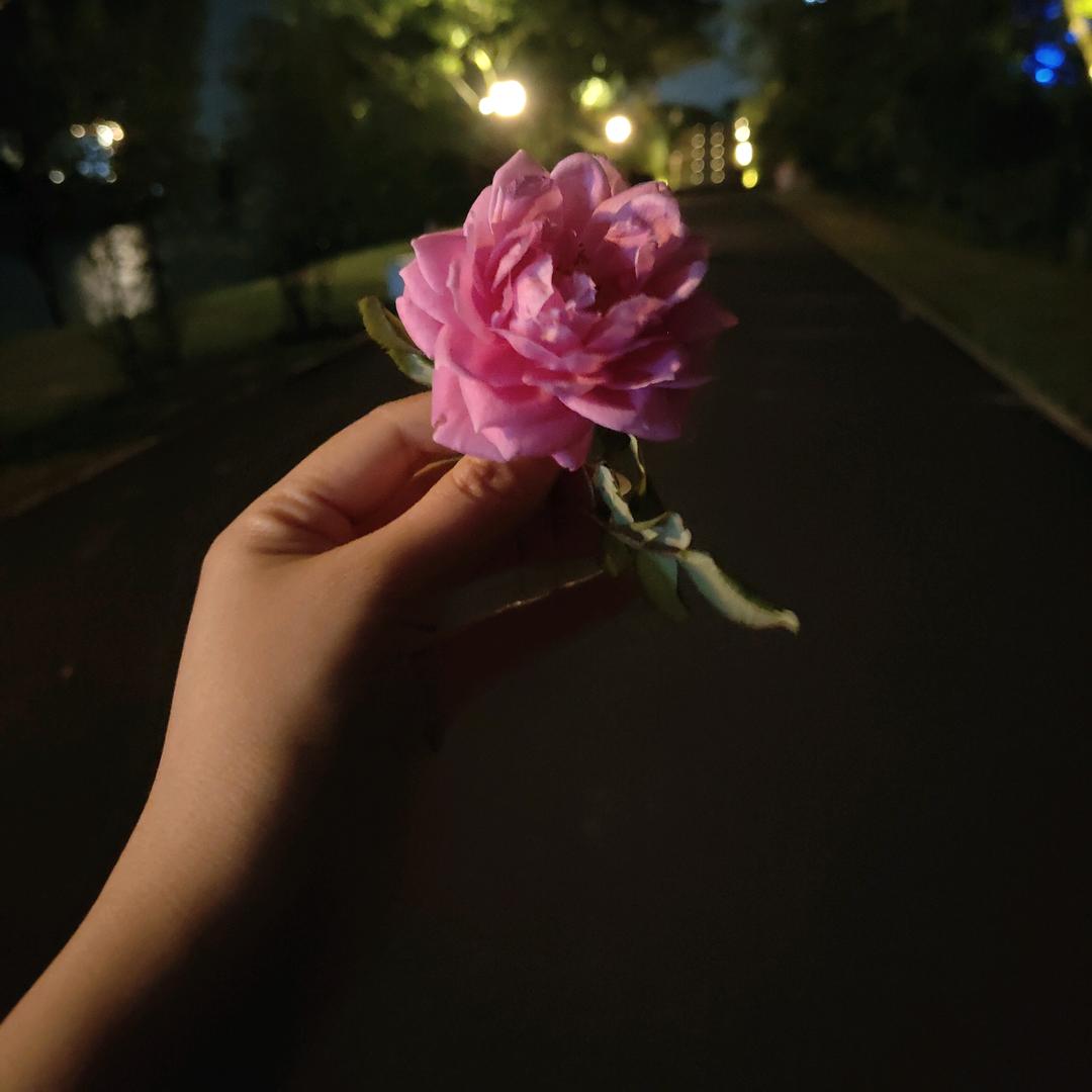 小小