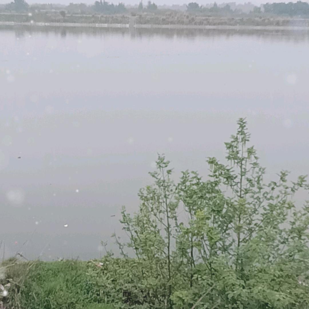 一个无处安放的灵魂