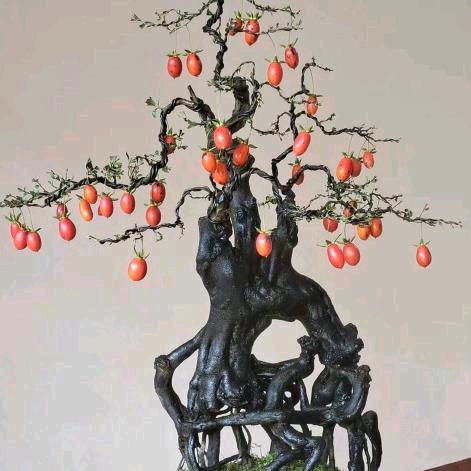 皇家花园