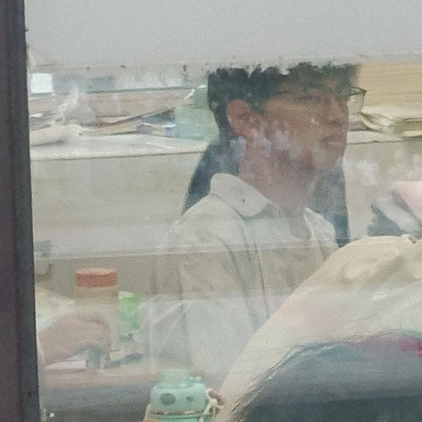 梅落惊蛰