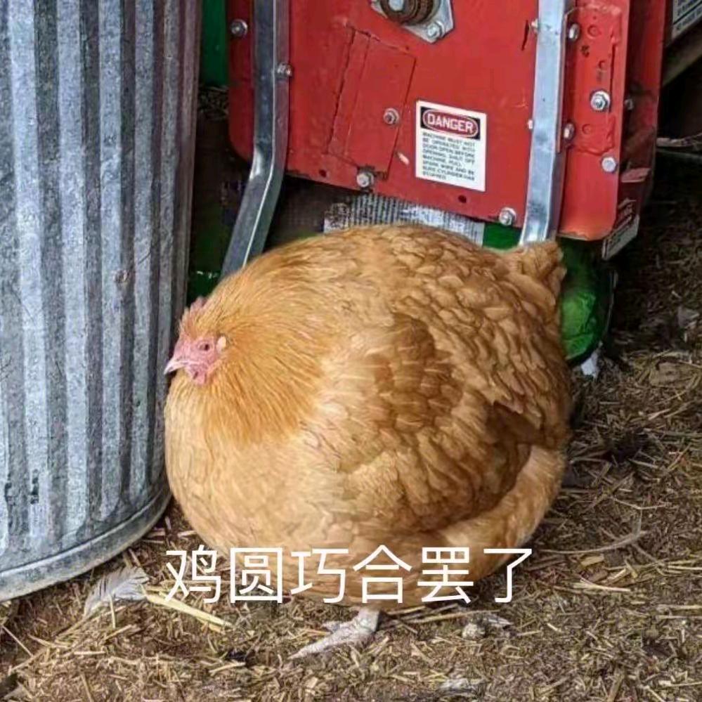 无相生(无畏契约)