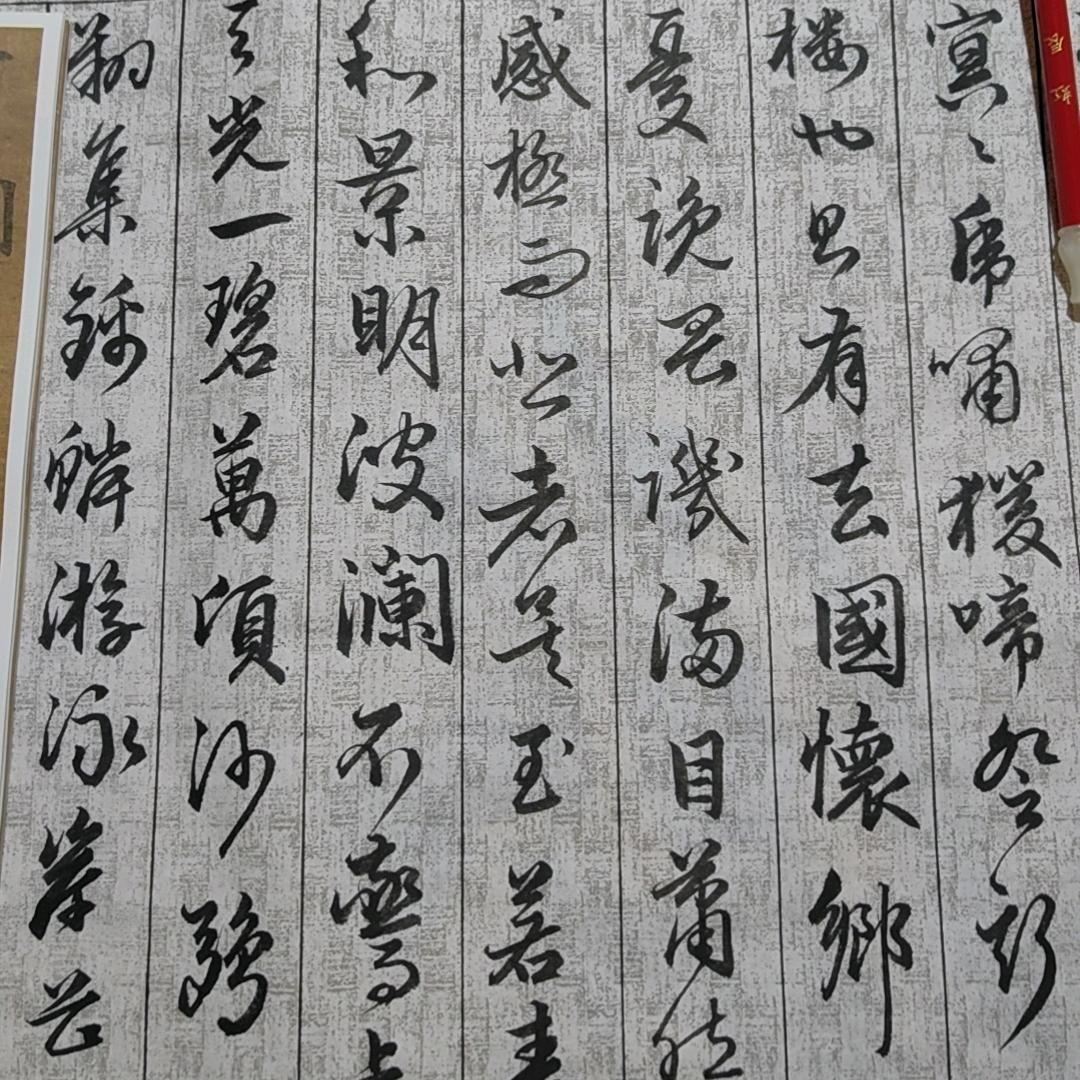 淡雅（荣昌花园花境设计，花卉绿植批发零）