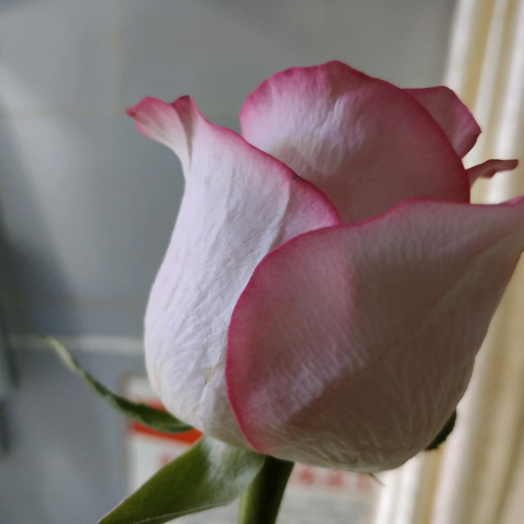 @零碎的記憶(◕︿◕✿)