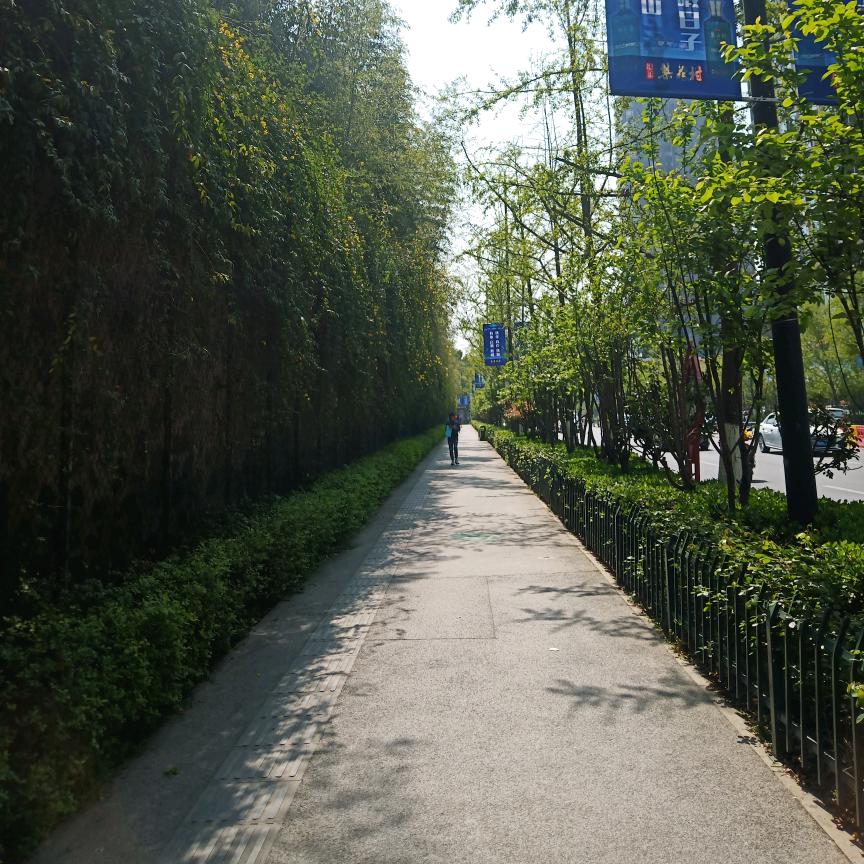 一路上有你