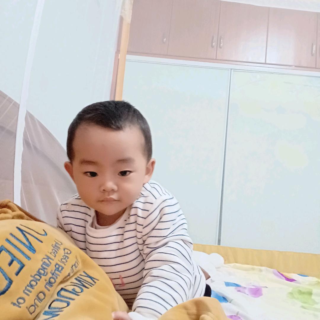 真的一切只有你