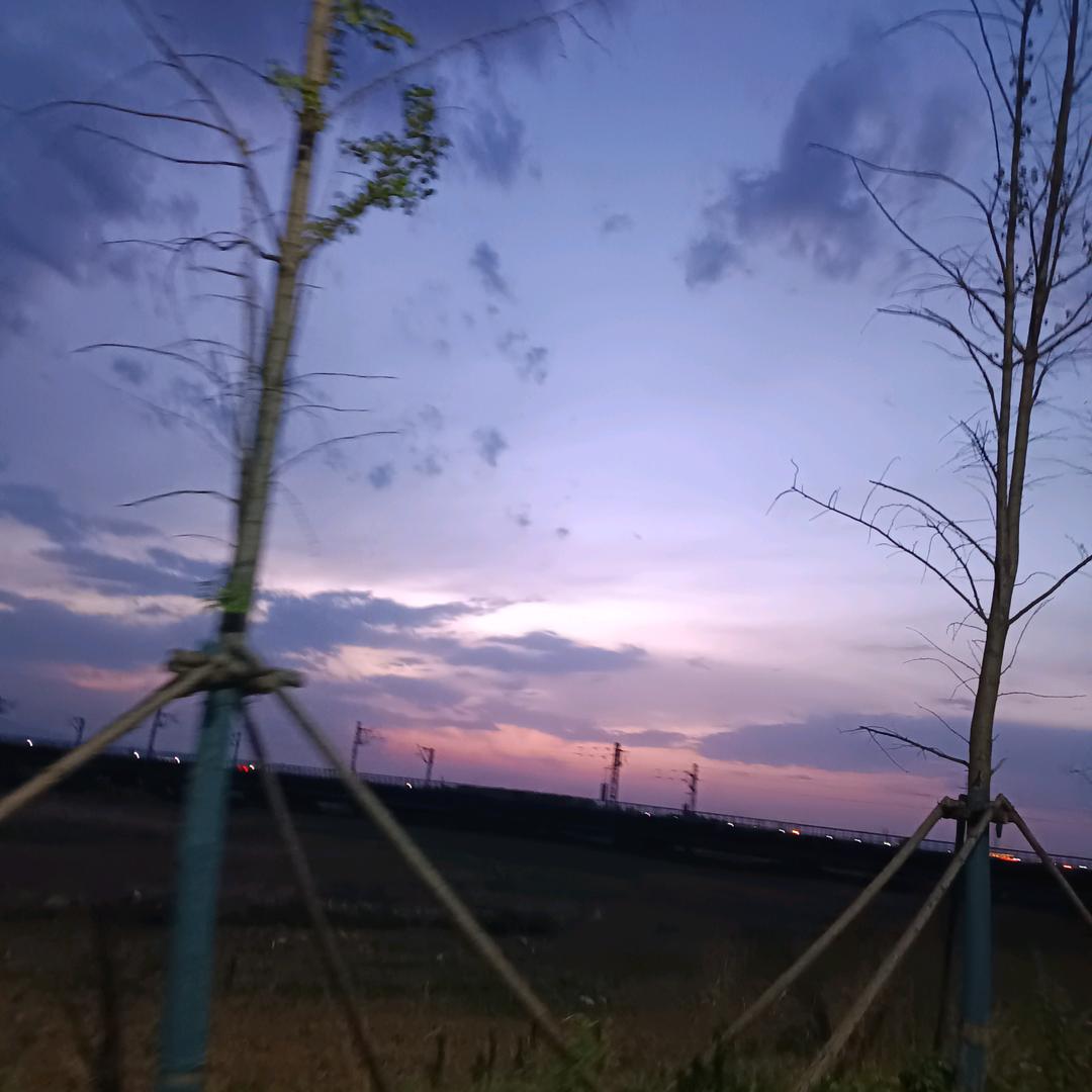 雨晨