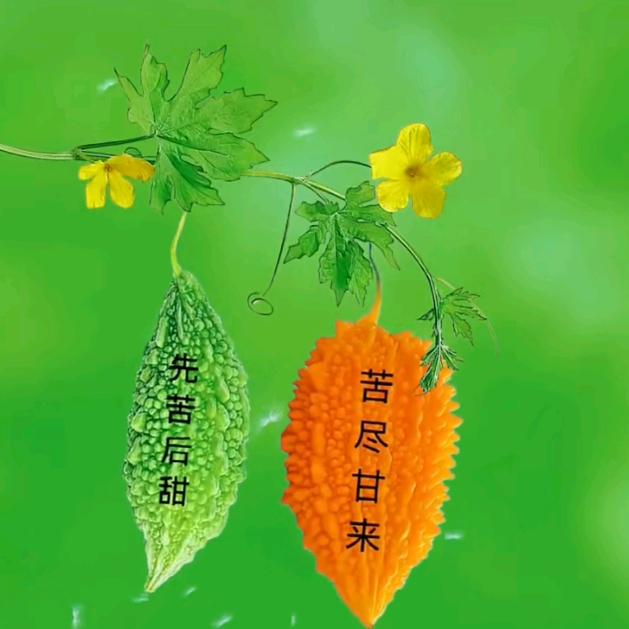心如止水🌿🔥💫