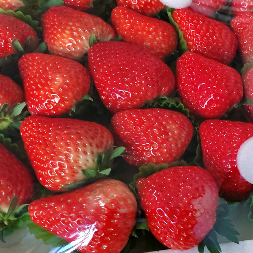 暗夜✪ω✪行者