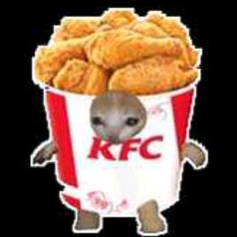 [卫队长官]赛依德